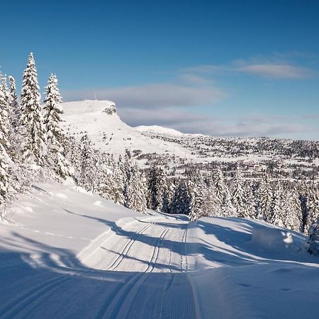 Skeikampen Leilighet, Veslesetervegen 973 F Appartamento Svingvoll Esterno foto