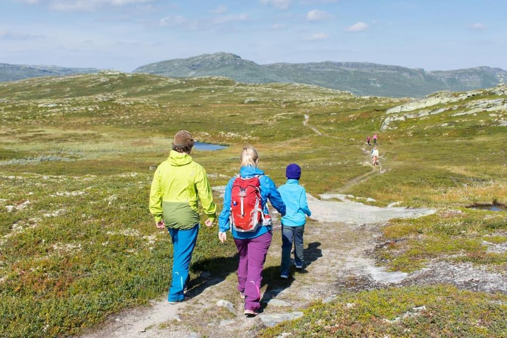 Skeikampen Leilighet, Veslesetervegen 973 F Appartamento Svingvoll Esterno foto
