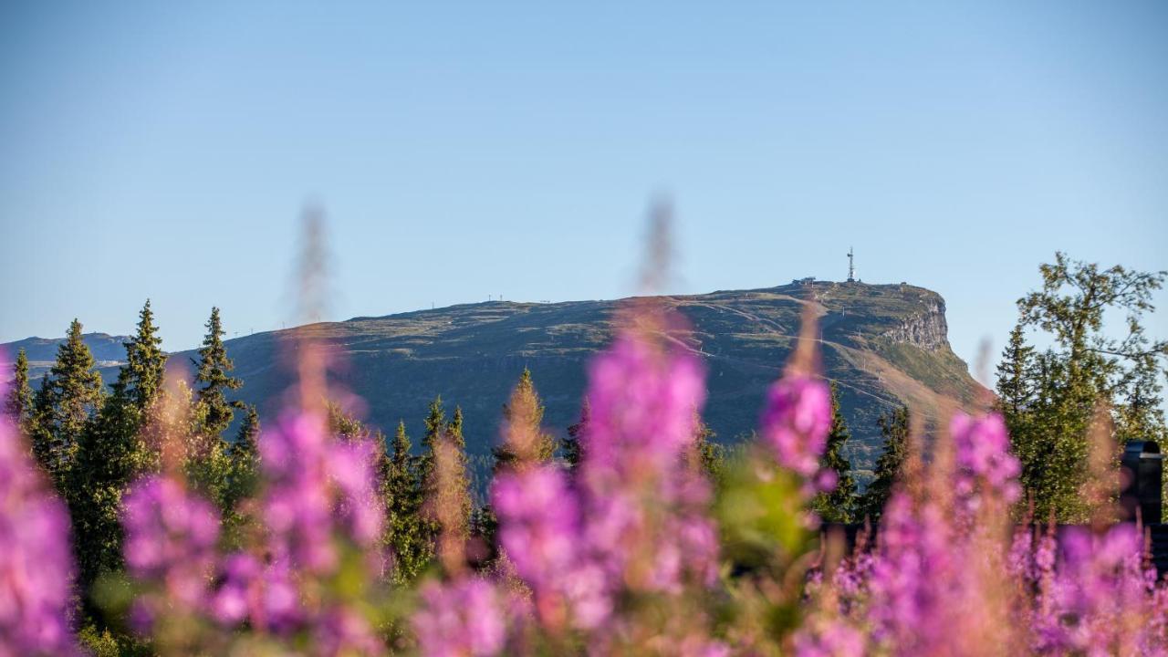 Skeikampen Leilighet, Veslesetervegen 973 F Appartamento Svingvoll Esterno foto
