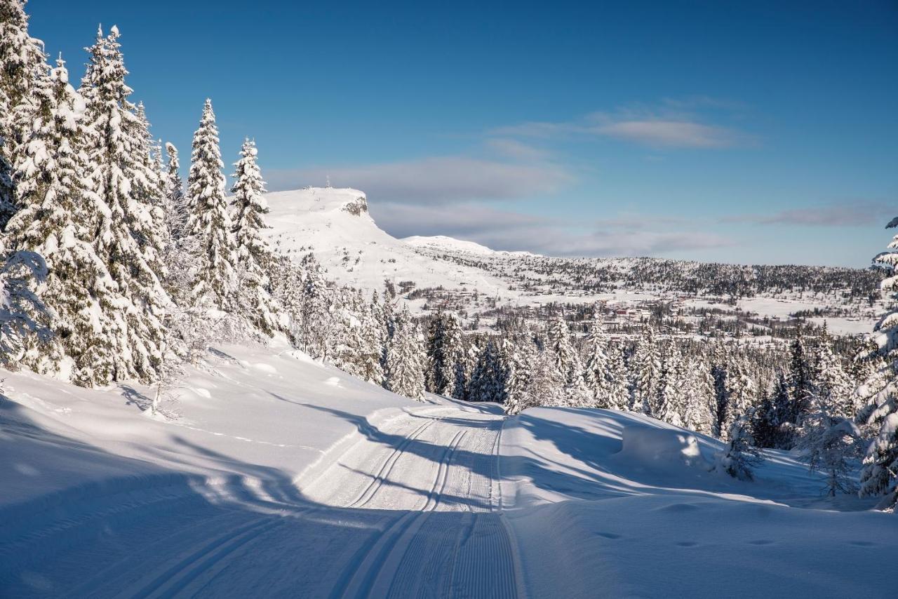 Skeikampen Leilighet, Veslesetervegen 973 F Appartamento Svingvoll Esterno foto